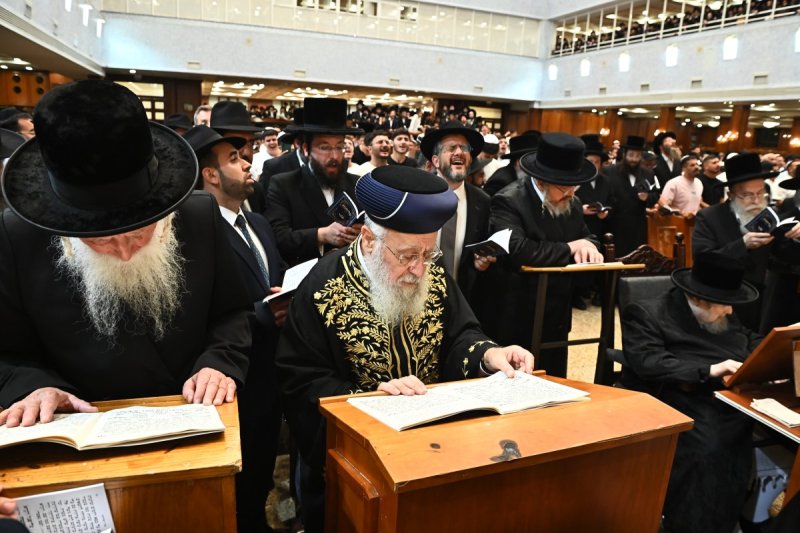 שוקי לרר