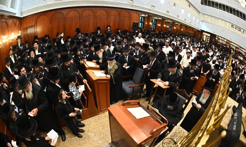 "שערי שמים נפתחו": אלפי מתחזקים ובוגרי 'צהר' בסליחות בבעלזא | צפו