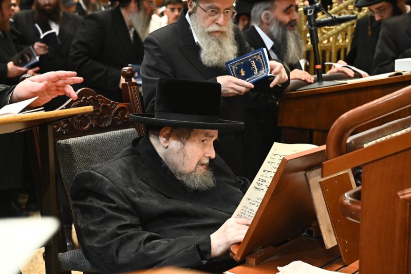 שוקי לרר
