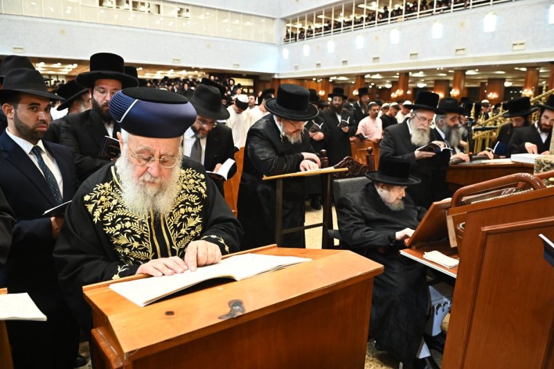 שוקי לרר