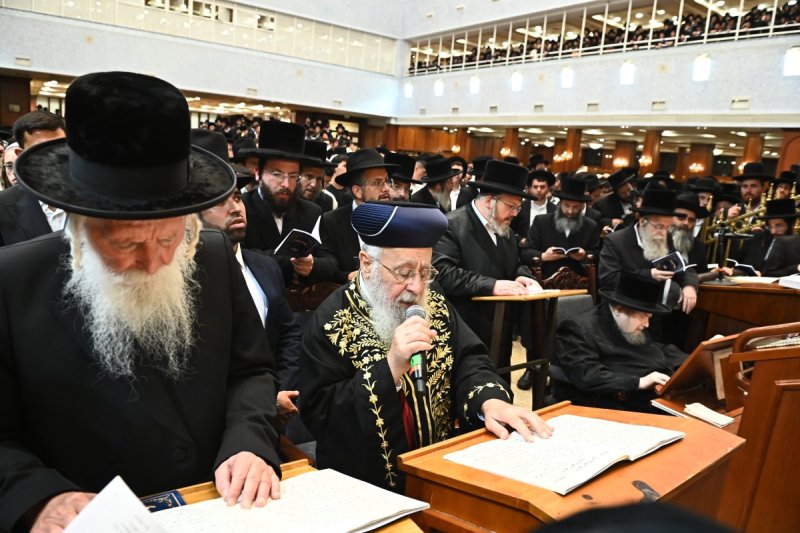 שוקי לרר