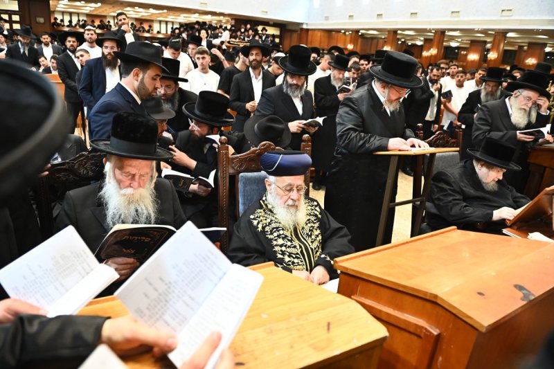 שוקי לרר
