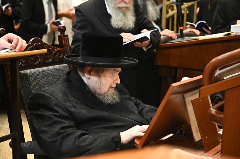 שוקי לרר
