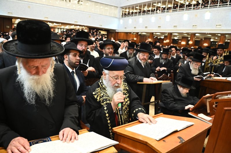 שוקי לרר