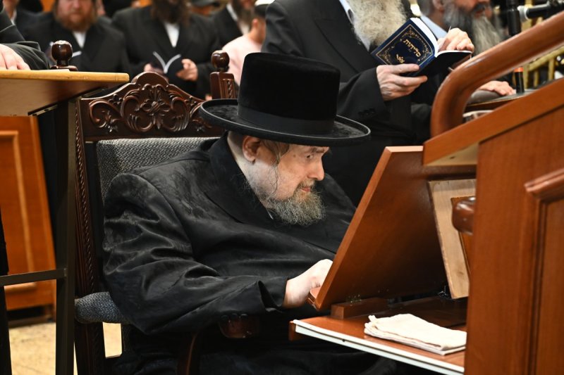 שוקי לרר