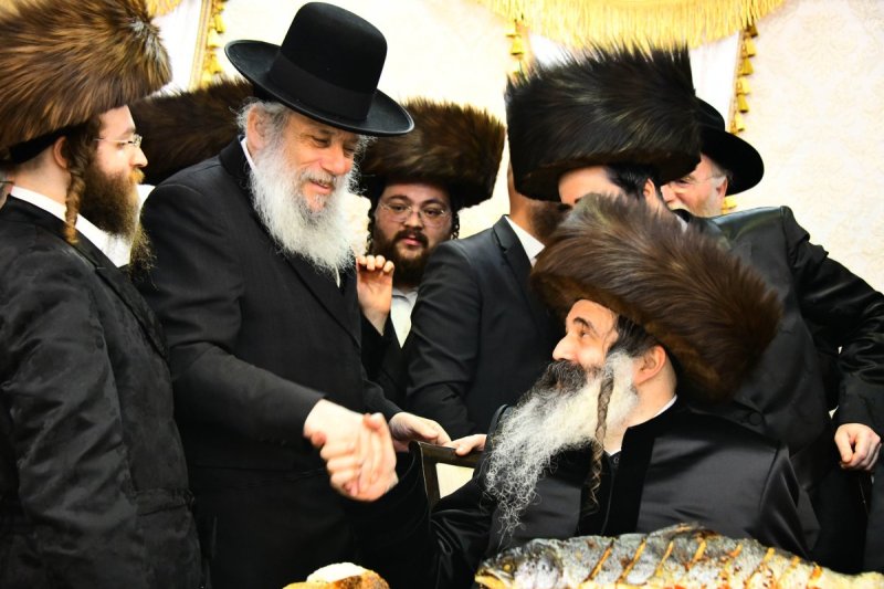 שוקי לרר