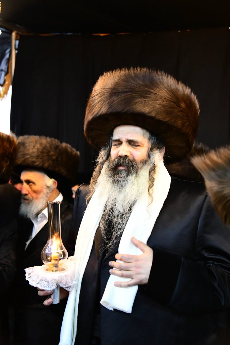 שוקי לרר