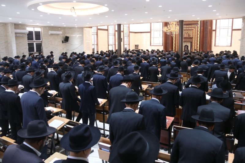 שימי קליין