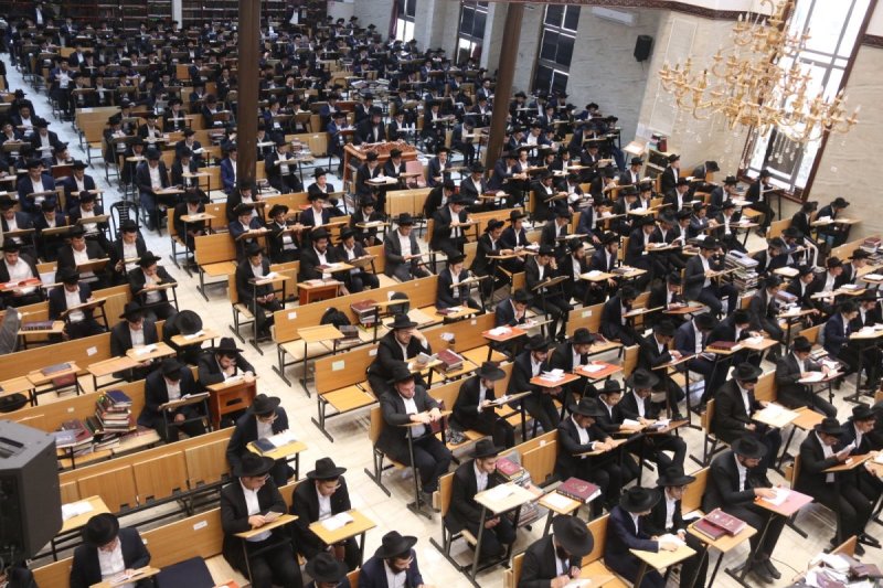 שימי קליין