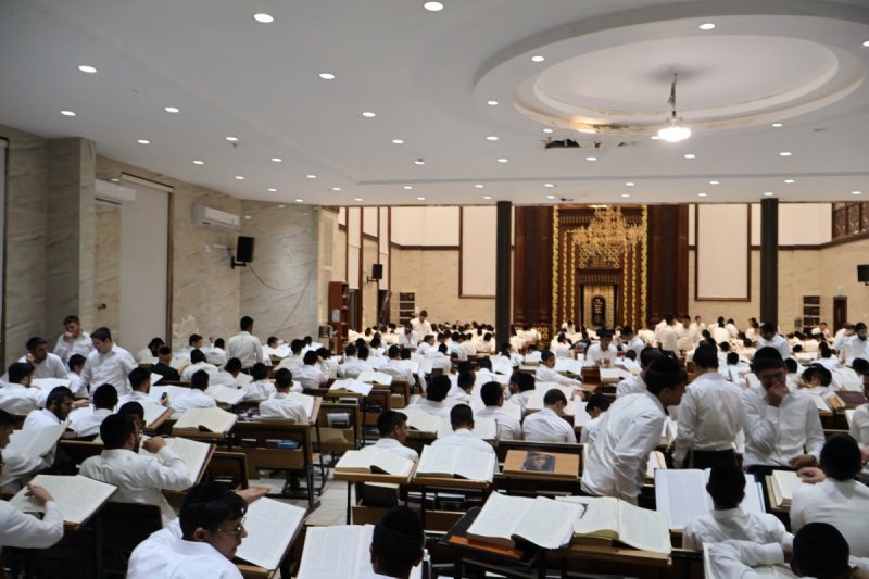 שימי קליין