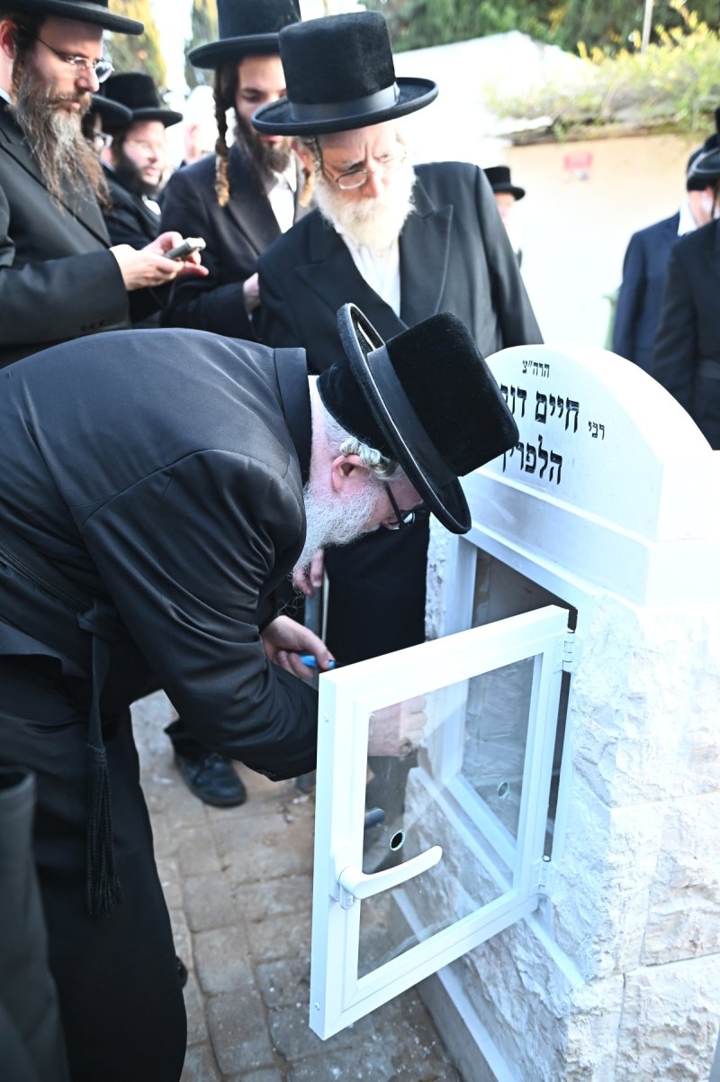 שוקי לרר