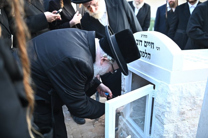 שוקי לרר