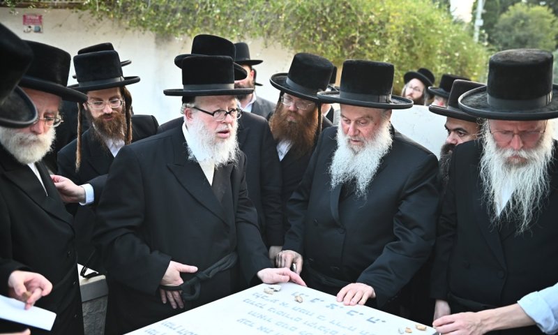 בלב נשבר: הוקמה מצבה לבן הרבי מוואסלוי וחתן הרבי מבוהוש