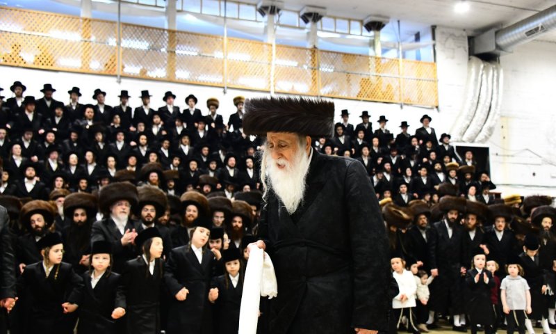 שמחת הנינה הראשונה: החתונה הגדולה בחסידות מכנובקא בעלזא
