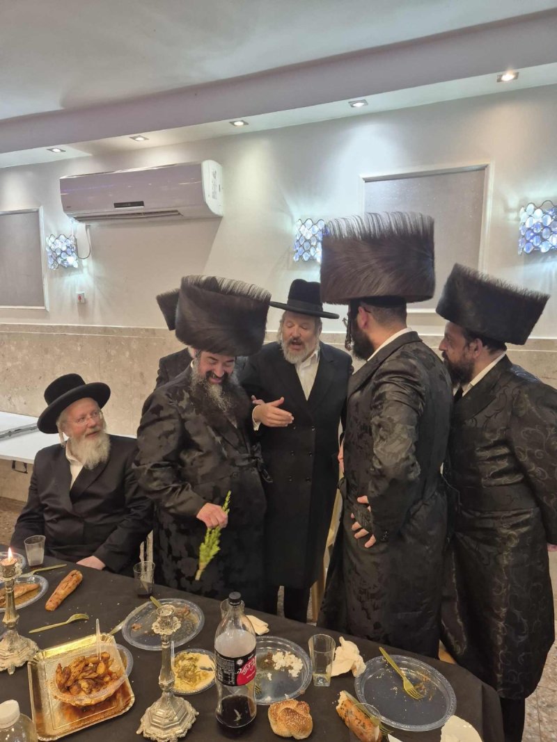 שוקי לרר