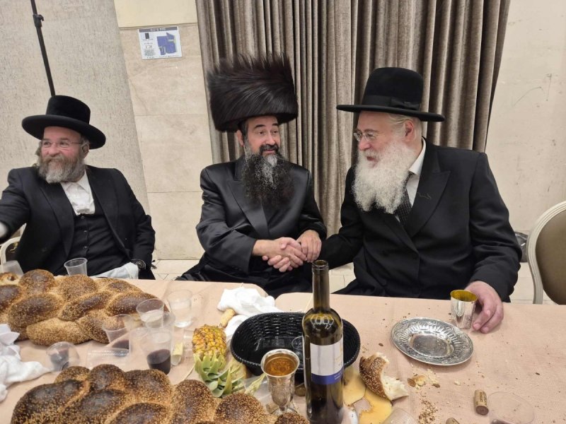 שוקי לרר