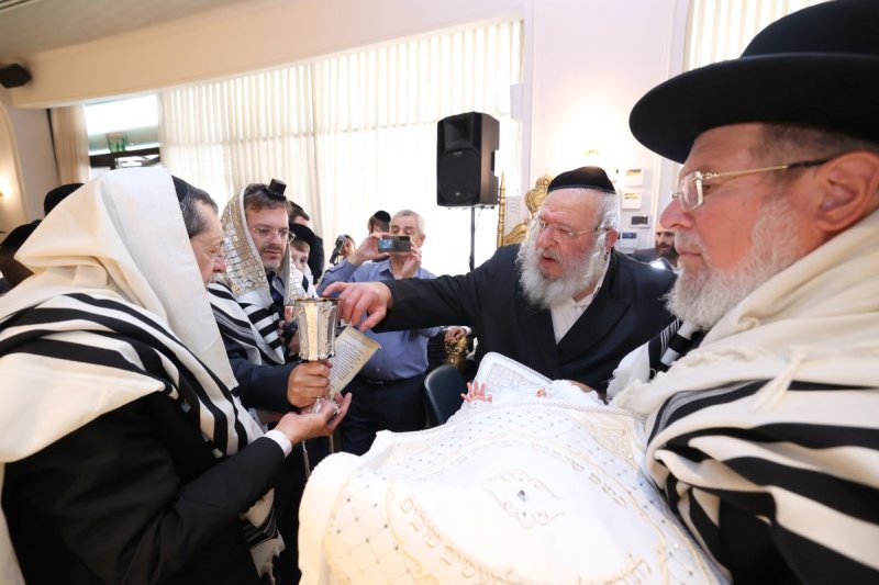 קובי הר צבי