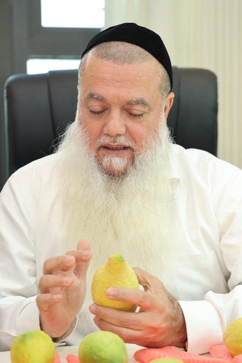 נועם אליהו