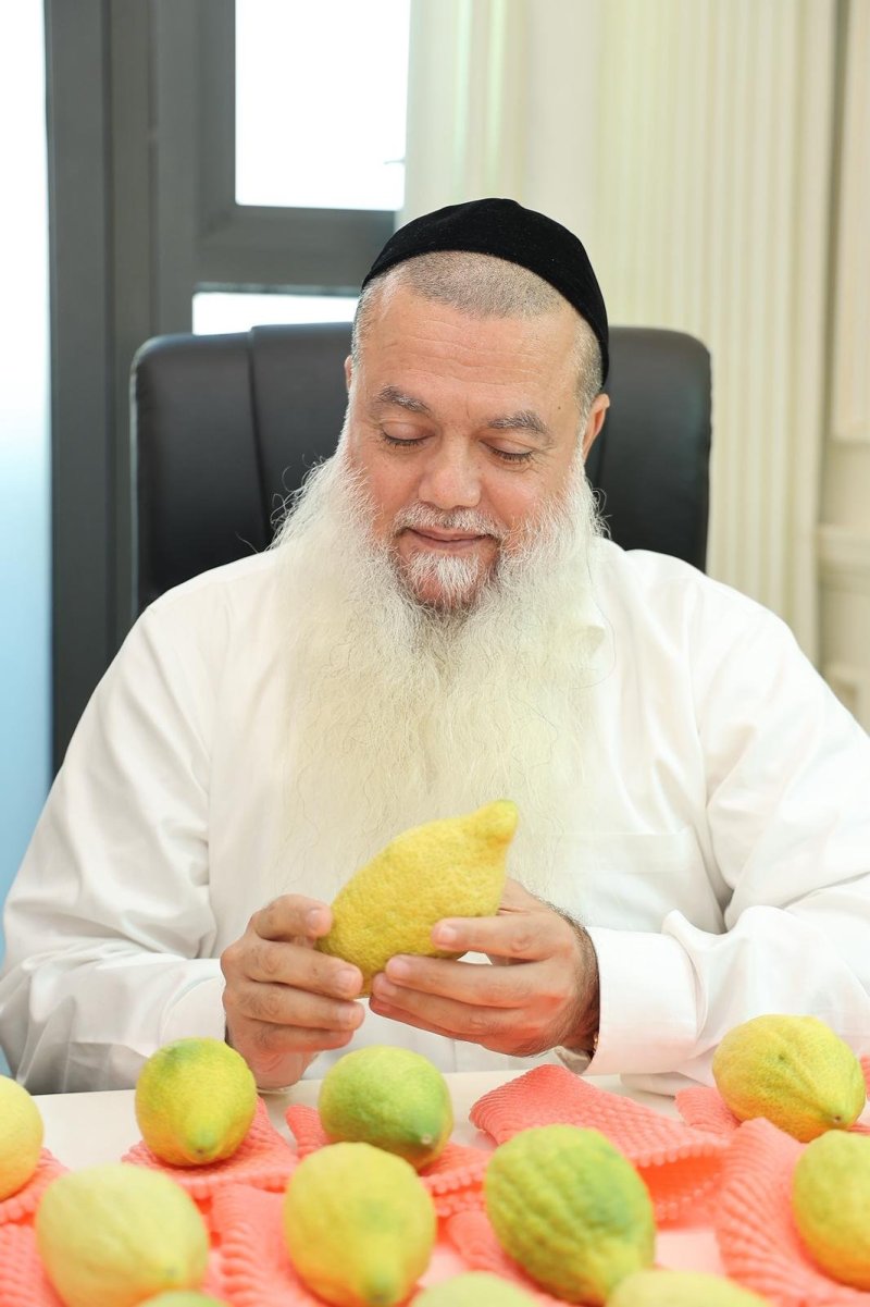נועם אליהו