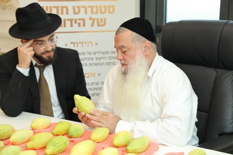 נועם אליהו