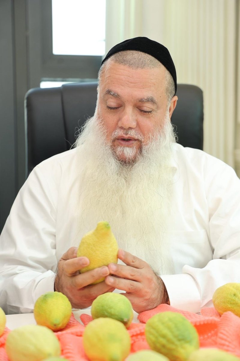 נועם אליהו