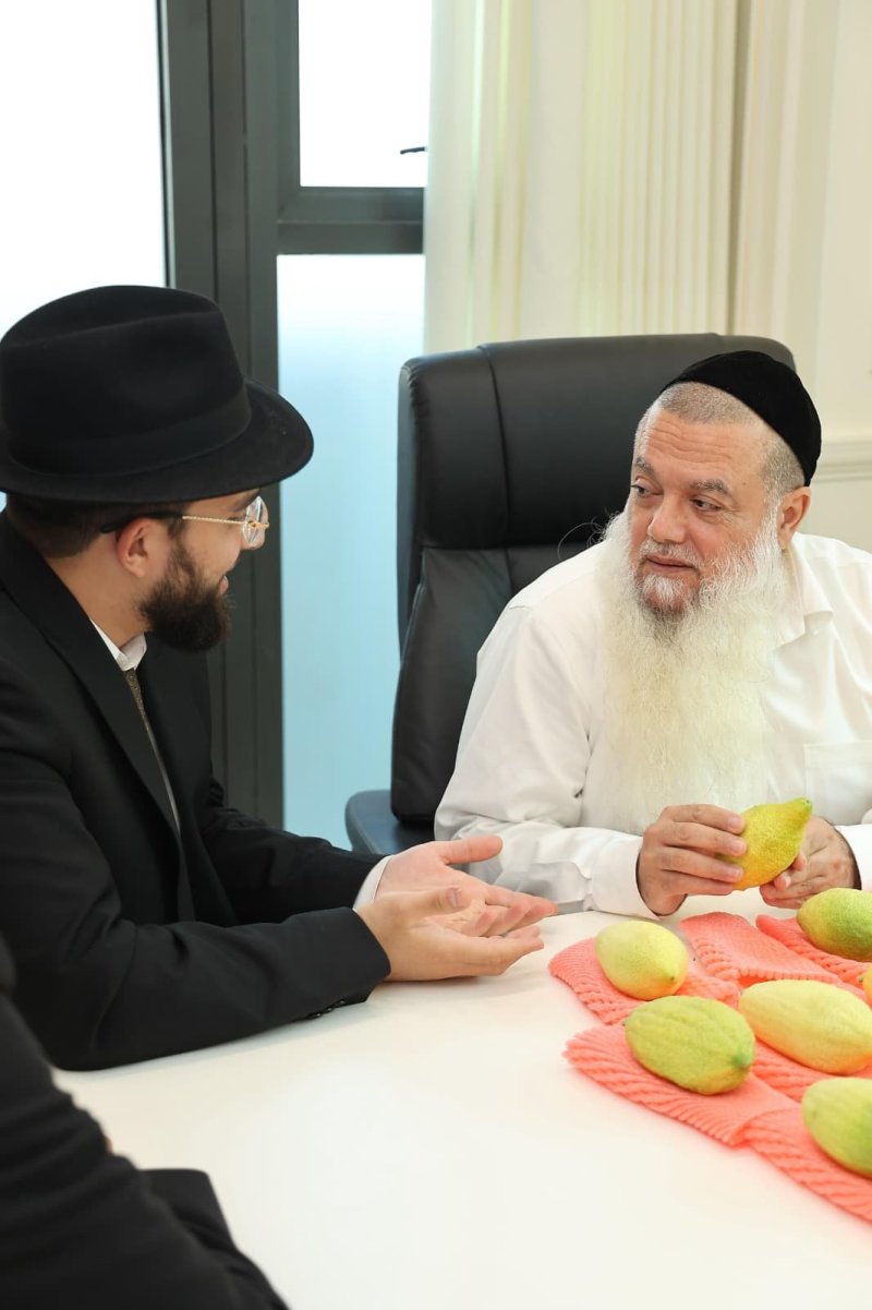 נועם אליהו