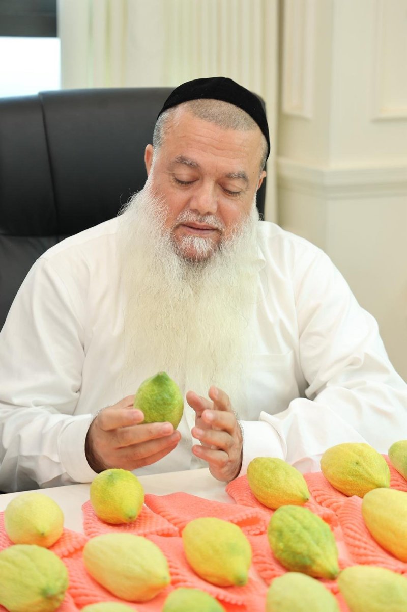 נועם אליהו