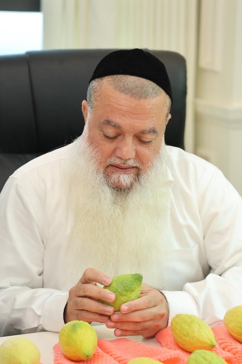 נועם אליהו