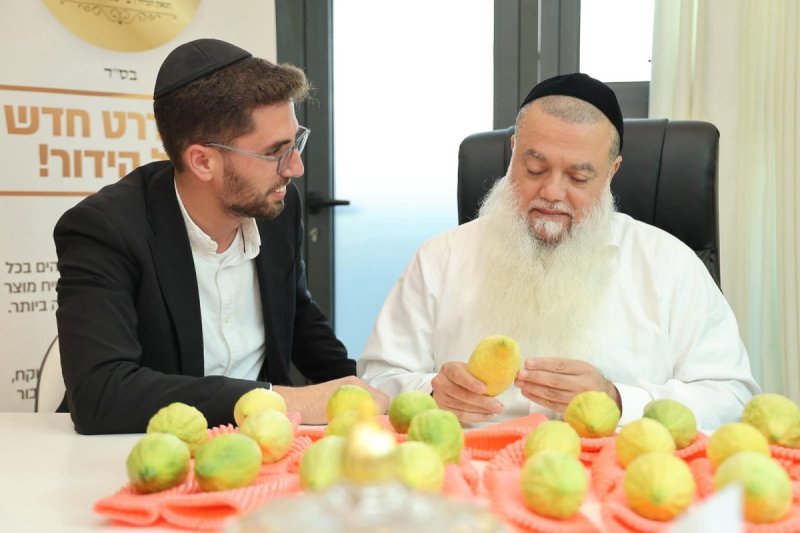 נועם אליהו