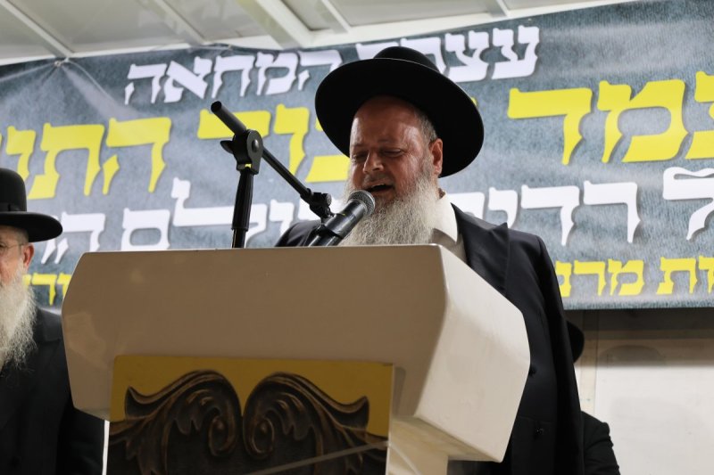 אריאל סר