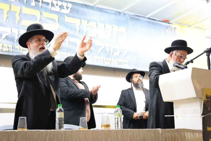אריאל סר