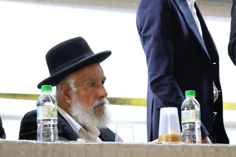 אריאל סר