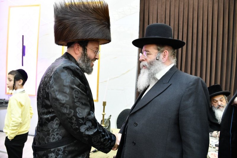 שוקי בריכטא