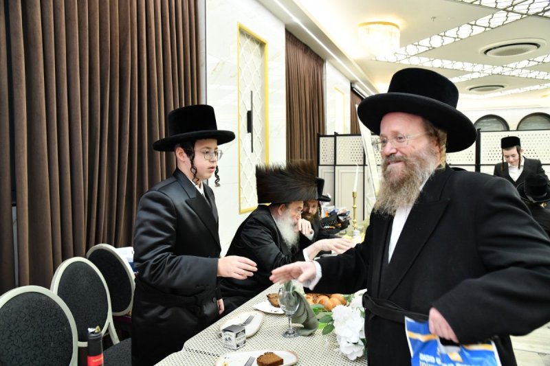 שוקי בריכטא