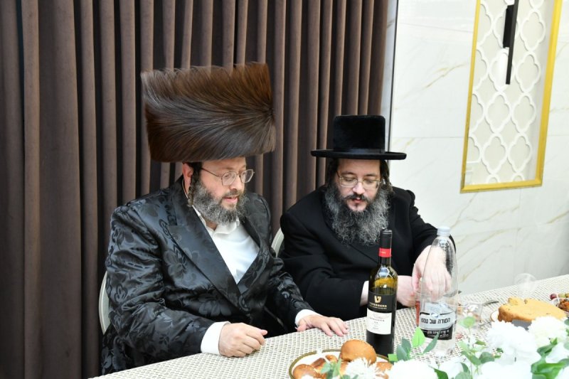 שוקי בריכטא