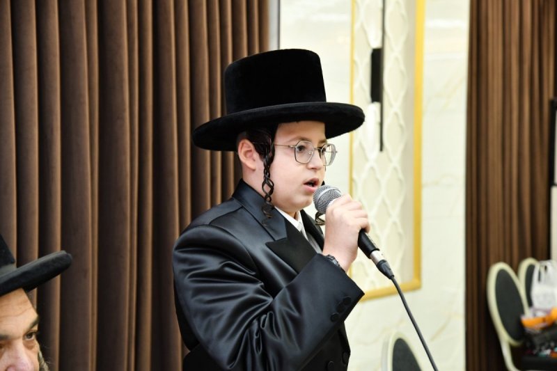 שוקי בריכטא
