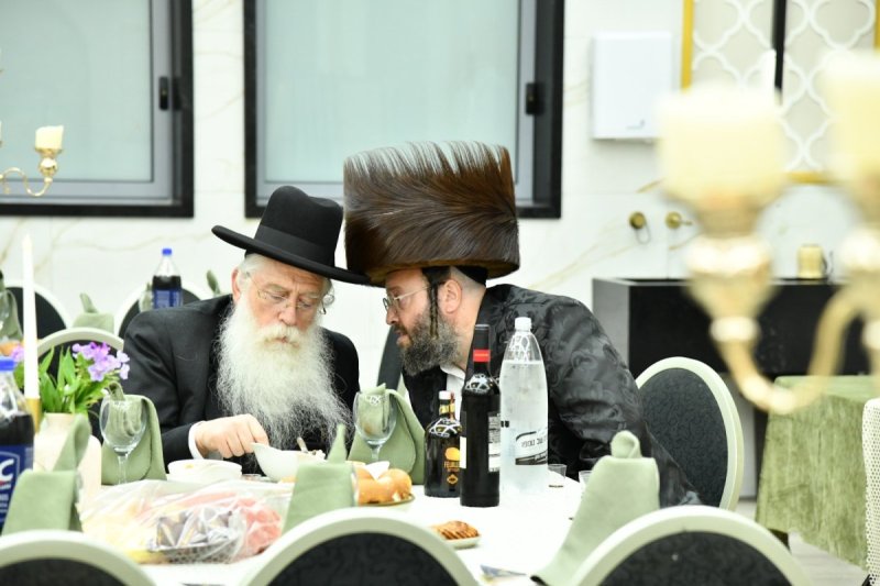 שוקי בריכטא