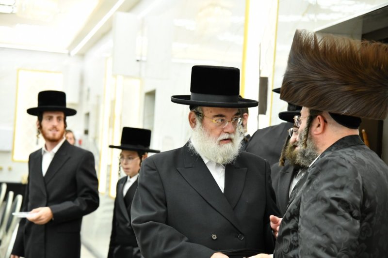שוקי בריכטא