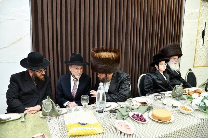שוקי בריכטא