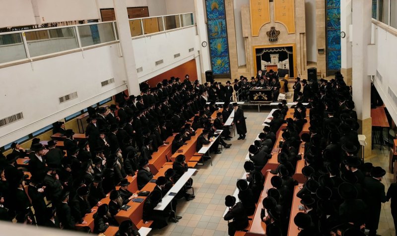שוקי לרר