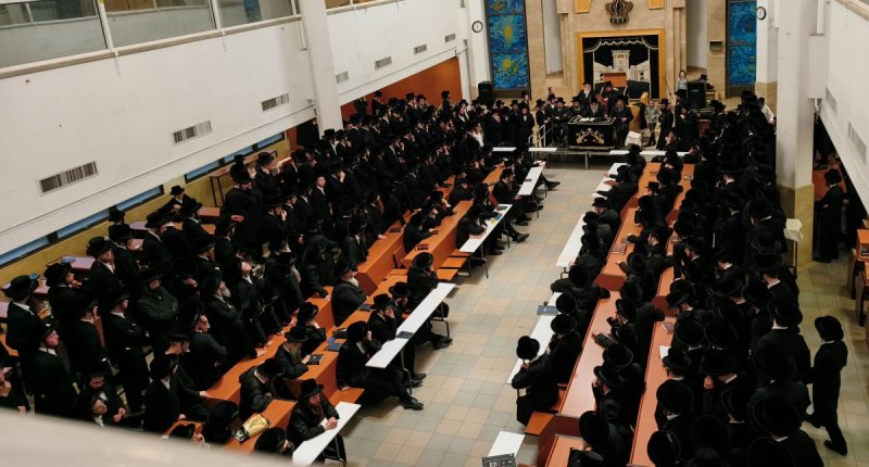 שוקי לרר