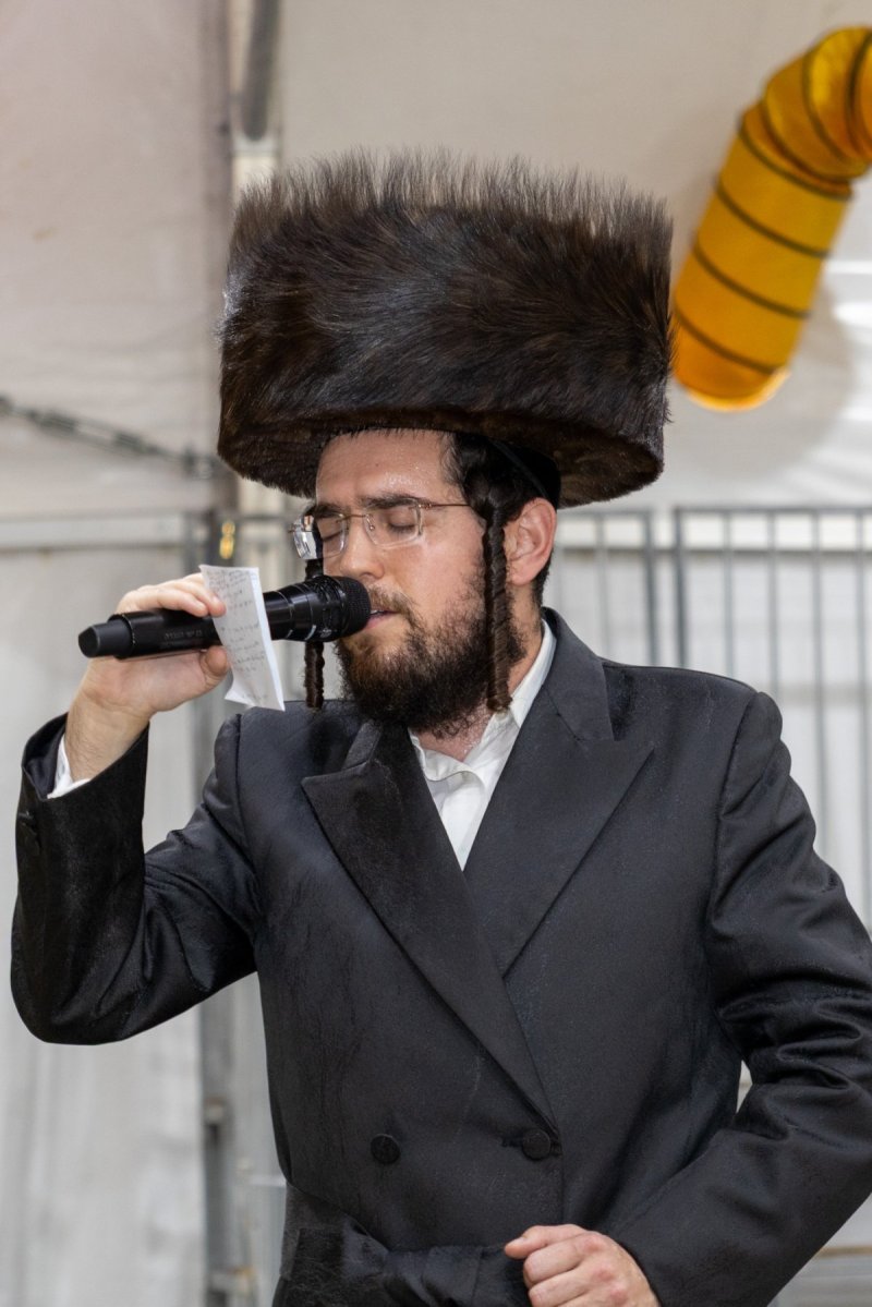 א.פ.ק