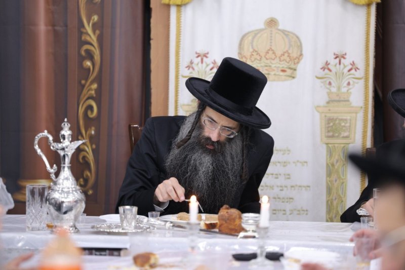 צ.י