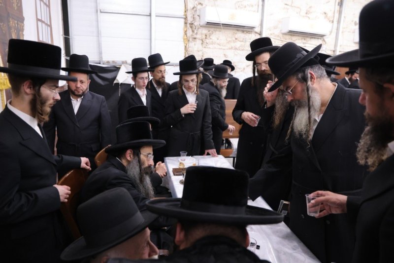 צ.י