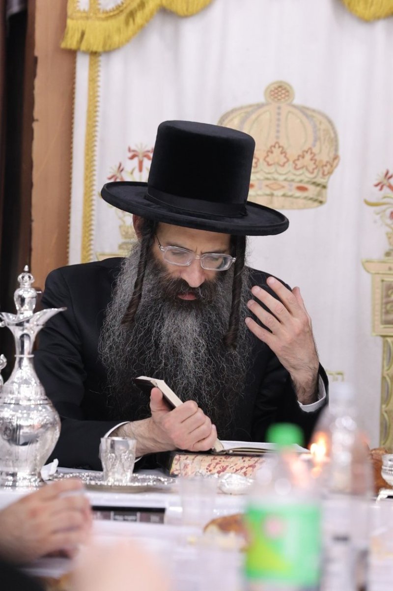 צ.י