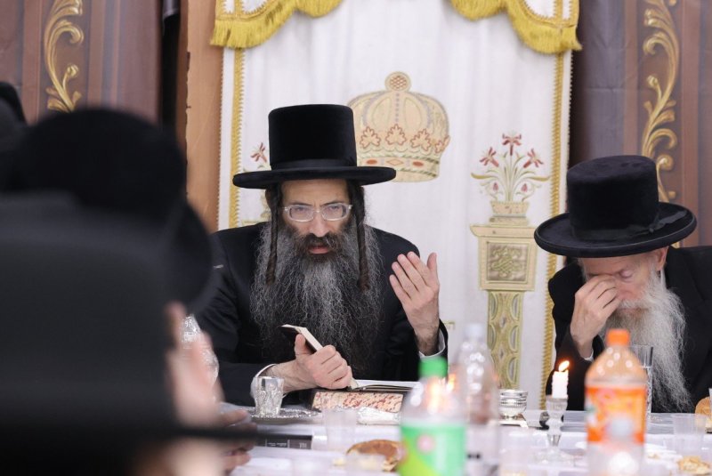 צ.י