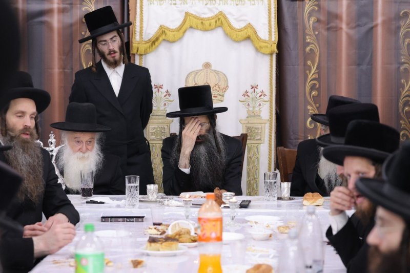 צ.י
