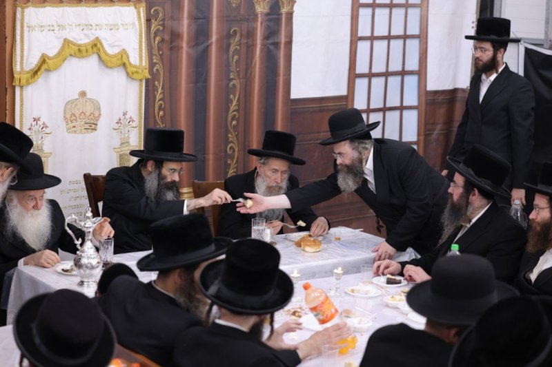 צ.י