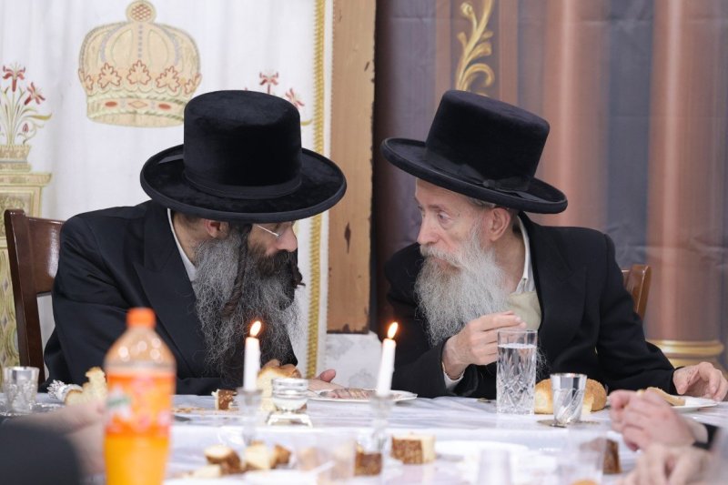 צ.י