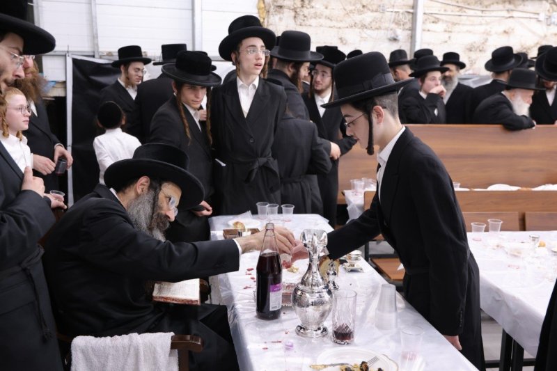 צ.י